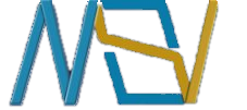 MSV Consulting